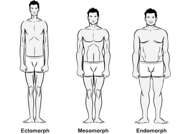 cum de a pierde greutatea tipului de corp endomorf